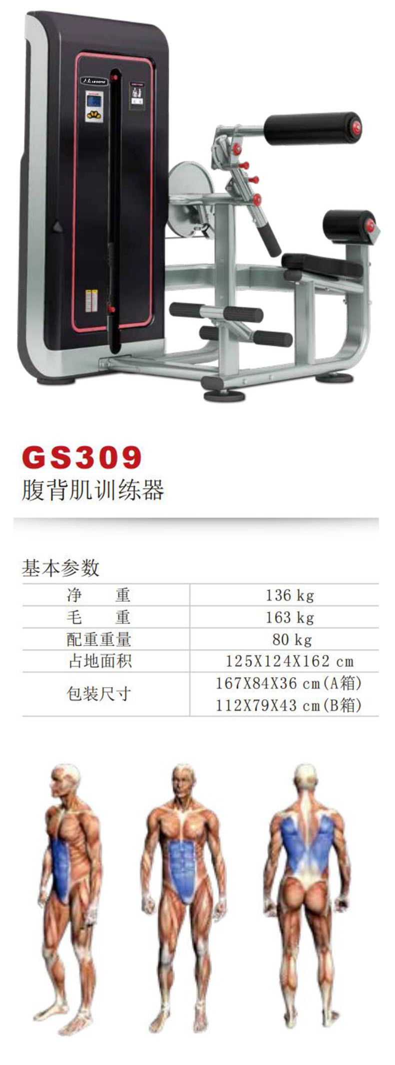 GS309S.jpg