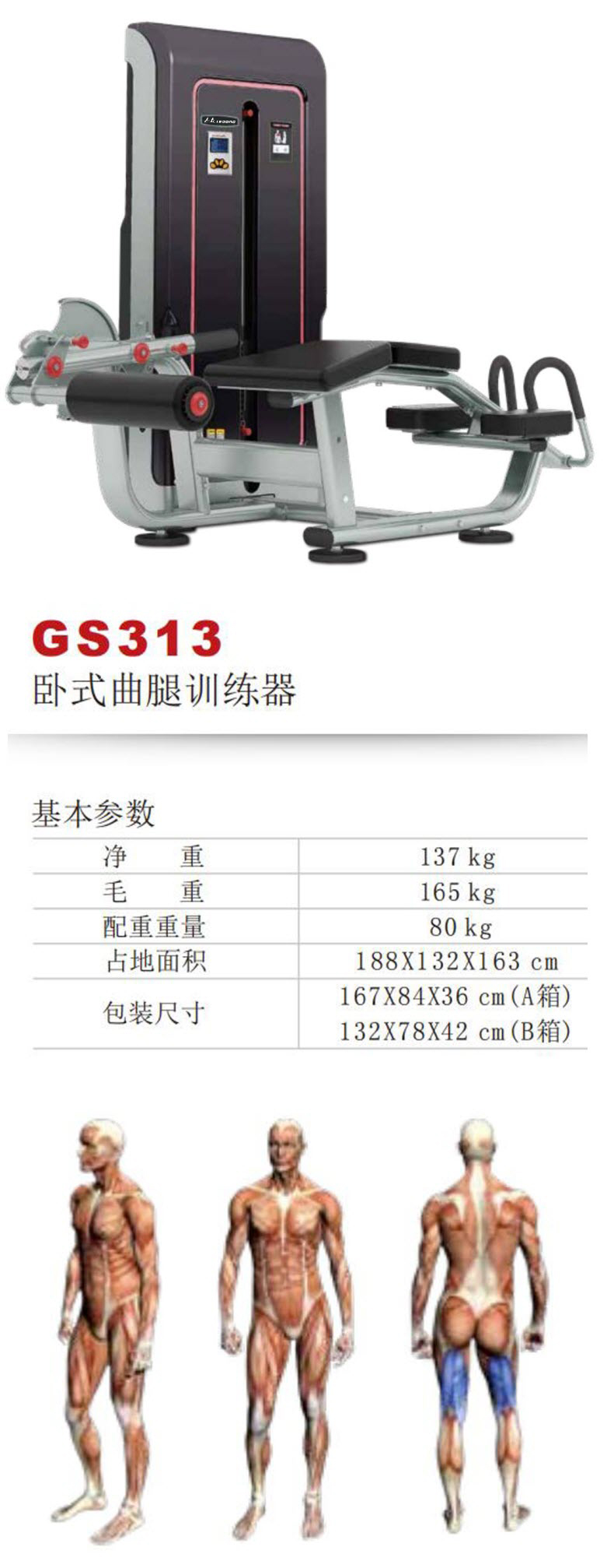 GS313S.jpg