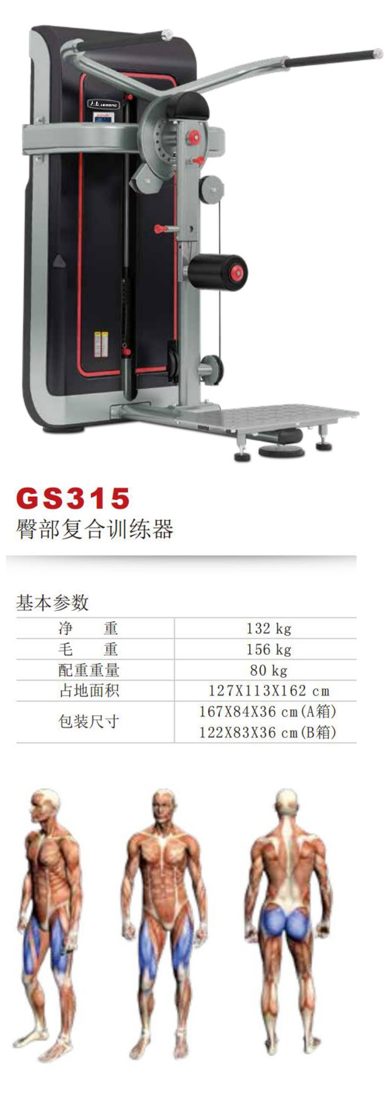 GS315S.jpg