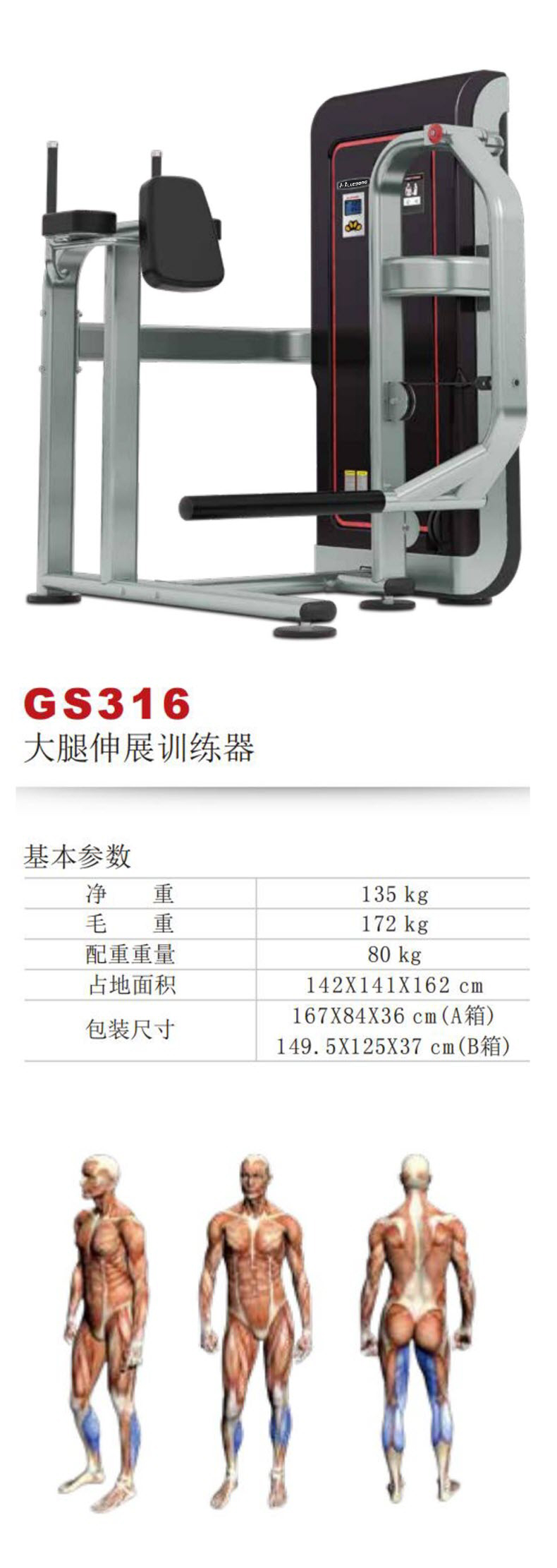 GS316S.jpg
