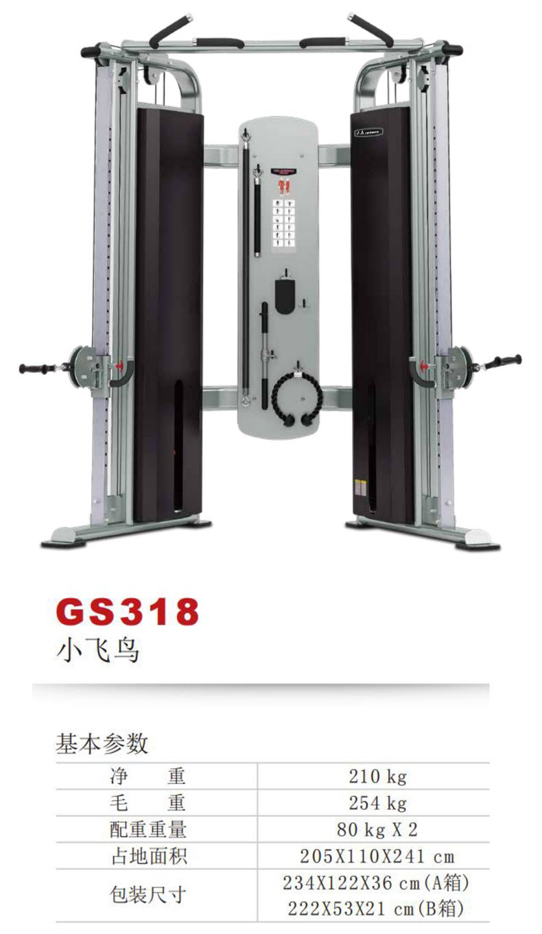 GS318S.jpg